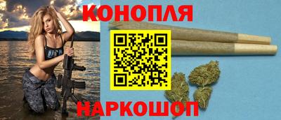 сатива Моздок