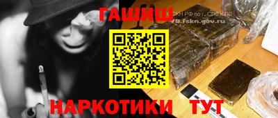 сатива Моздок