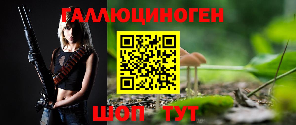 Псилоцибиновые грибы прущие грибы  Вход с VPN  Химки  Псилоцибиновые грибы ЛСД 